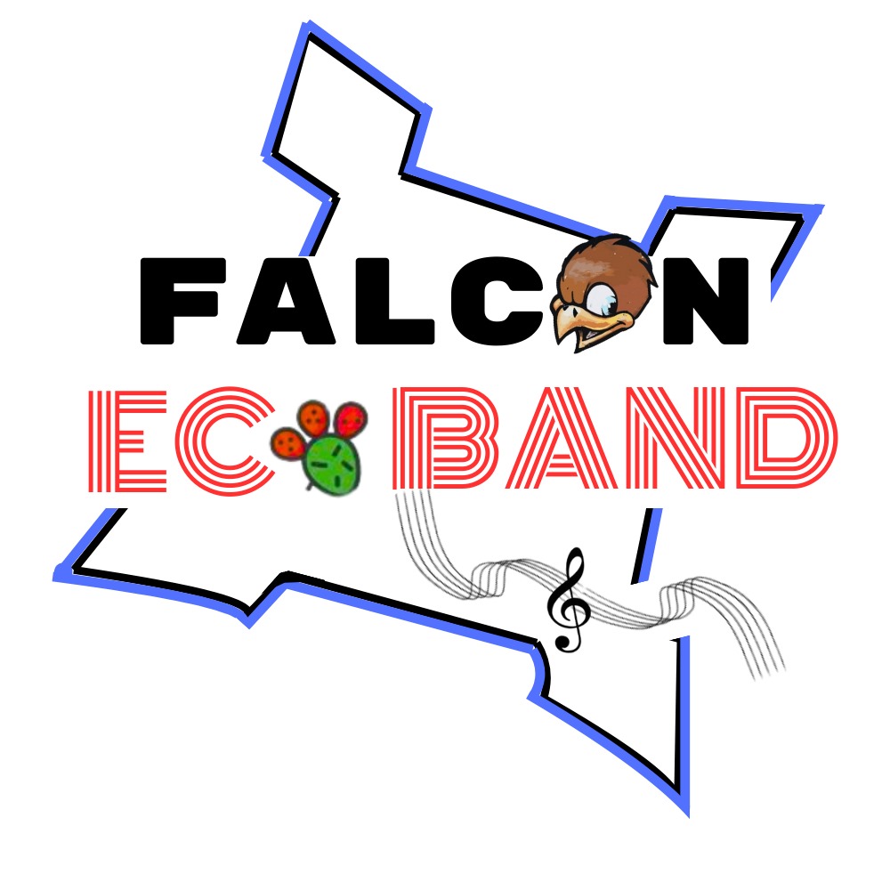 La FalconEcoBand vince la X edizione dell’EcoBand School Festival!